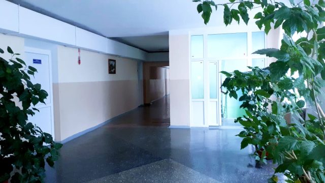 Гимназия Погребень