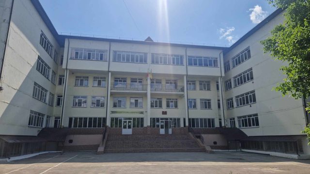 Гимназия им. Михая Витязула