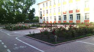 Теоретический лицей Лэпушна