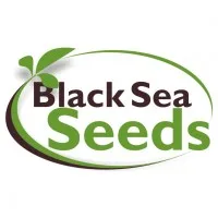 Black Sea Seeds